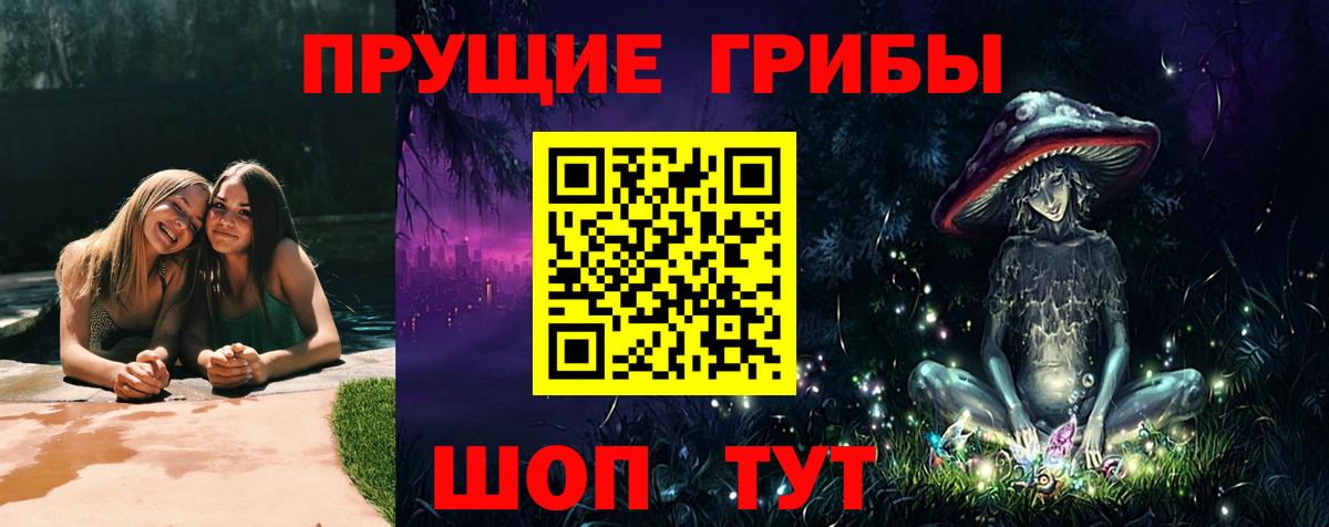 Псилоцибиновые грибы Psilocybe Рыбинск